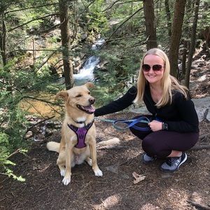 Meet your Posher, Sierra